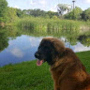 Meet your Posher, Shari